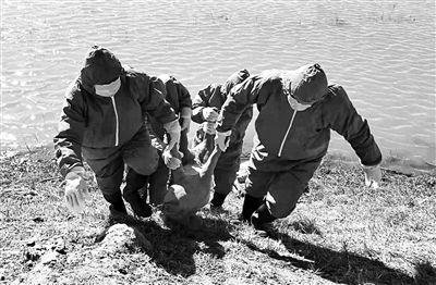 河石坝吃瓜群众事件,揭秘网络舆论的狂欢与反思