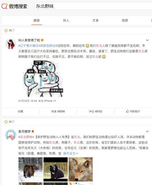 东北网红吃瓜群众视频,揭秘网络热点背后的故事