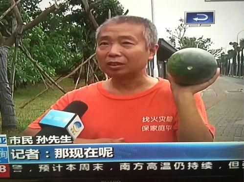 吃瓜群众最新新秀事件,吃瓜群众热议,揭秘娱乐圈风云再起