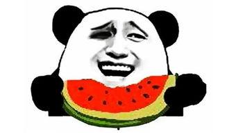 吃瓜群众的幽默句子霸气,笑料横飞，幽默至上！