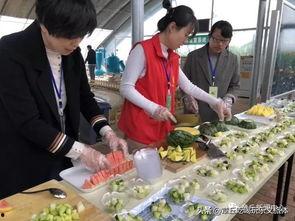 甜蜜蜜专业吃瓜群众,揭秘专业吃瓜群众的甜蜜生活与独特视角