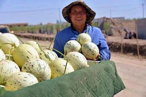 回村第一批人吃瓜群众是谁,揭秘首批围观者的神秘面纱