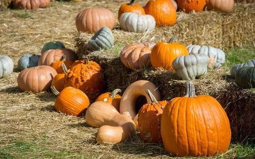 回村第一批人吃瓜群众是谁,揭秘首批围观者的神秘面纱