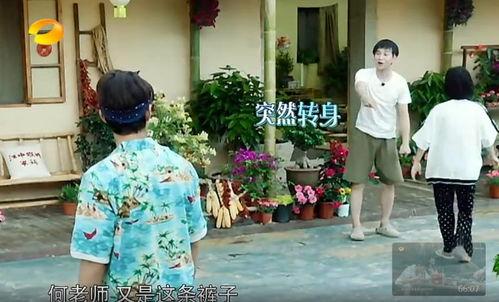 杞县吃瓜群众事件真相,真相与反思