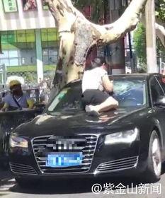 吃瓜群众围观原配抓小三