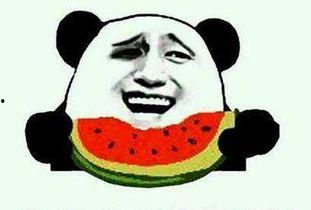 我把你当成吃瓜群众的人,从吃瓜群众视角看我的生活点滴