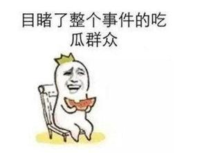 保定的吃瓜群众事件,网络舆论的风暴与反思