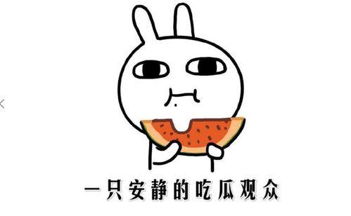 吃瓜群众们的生活,揭秘网络热议背后的生活点滴