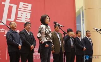 R. 安康诺盾集团董事长 吃瓜群众,吃瓜群众眼中的商业巨头”