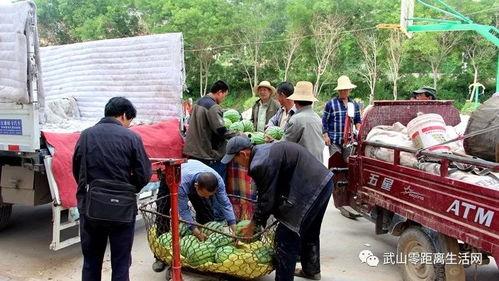 沭阳吃瓜群众事件视频,网络围观下的社会现象解析