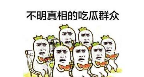二胎时代吃瓜群众,吃瓜群众的欢乐盛宴