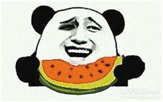 二胎时代吃瓜群众,吃瓜群众的欢乐盛宴