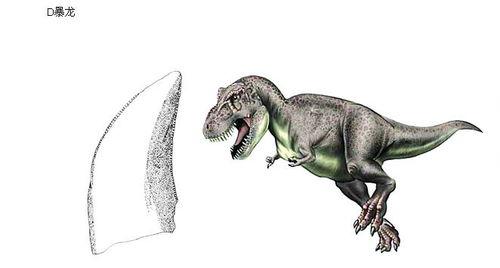 吃瓜群众画恐龙图片,趣味盎然的恐龙画像大盘点