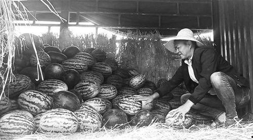 广丰吃瓜群众,揭秘当地生活百态