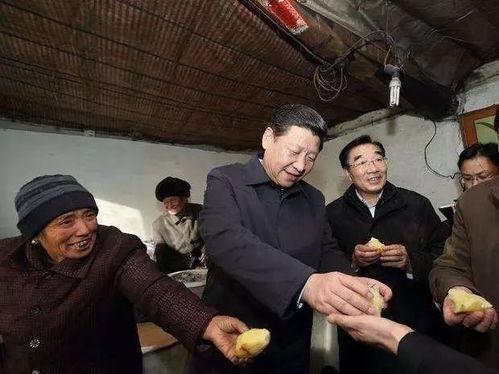 吃瓜群众陈志勇视频,揭秘娱乐圈幕后真相